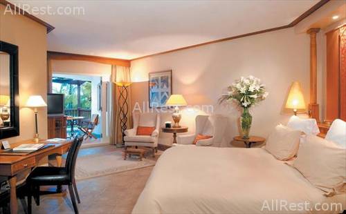 Royal Palm 4
